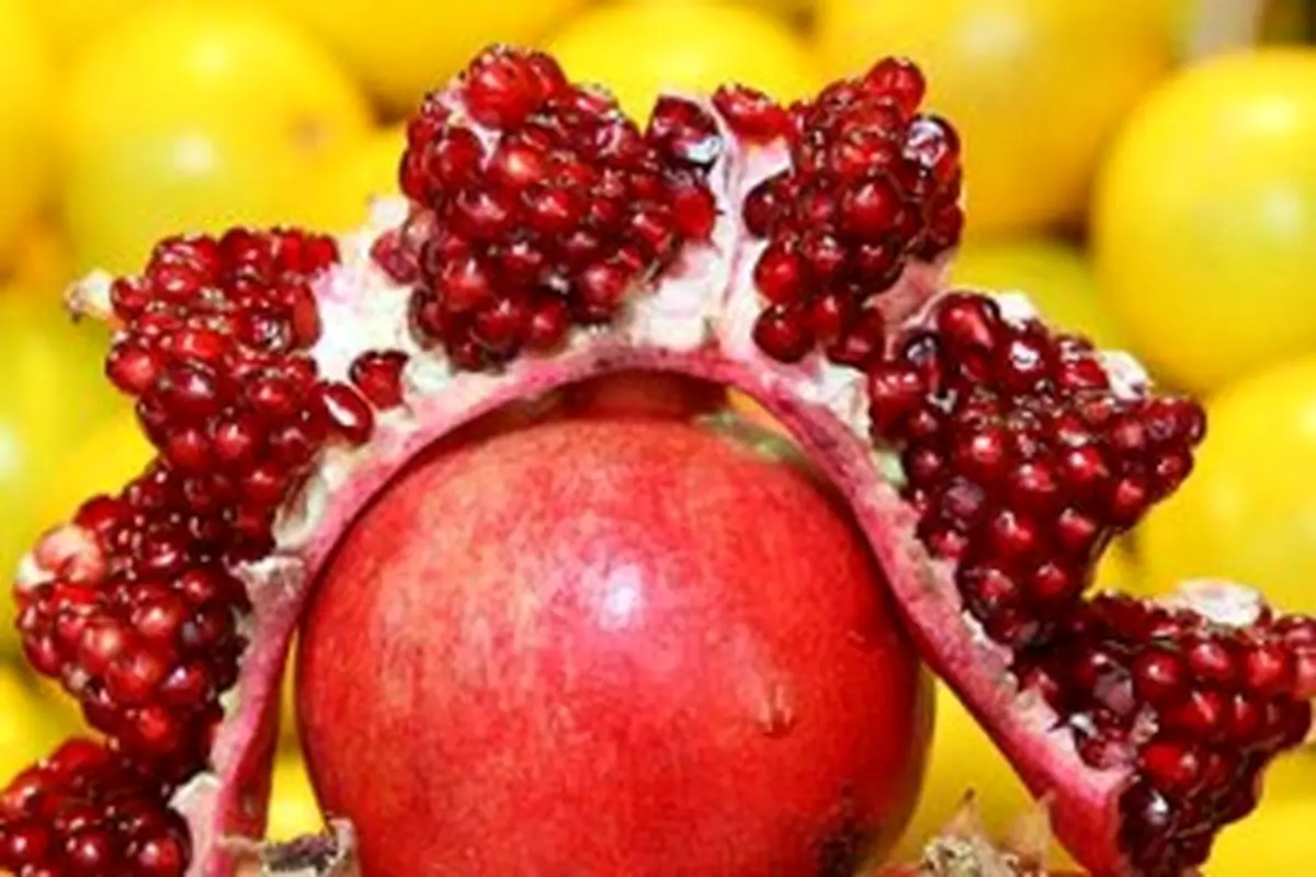 خوراکی ها و بازی های بامزه در شب یلدا