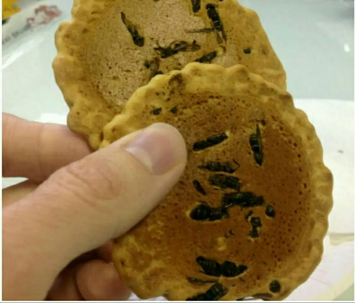 شیرینی زنبوری یکی از خوراکیهای عجیب ژاپن+عکس