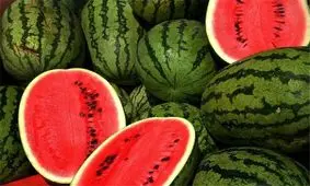 هندوانه شب یلدا کیلویی چند؟