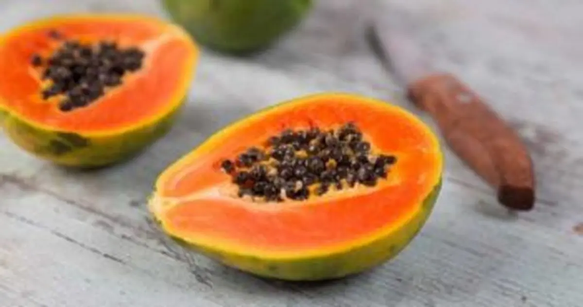 خواص میوه پاپایا (خربزه درختی) چیست؟