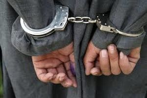 بازداشت ۹۱ سارق خشن در طرح ۲ روزه پلیس آگاهی