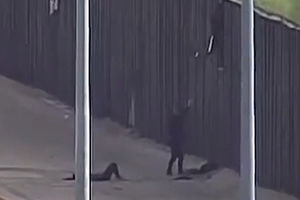مجروحیت دو دختر نوجوان هنگام پریدن از دیوار مرزی برای مهاجرت +فیلم