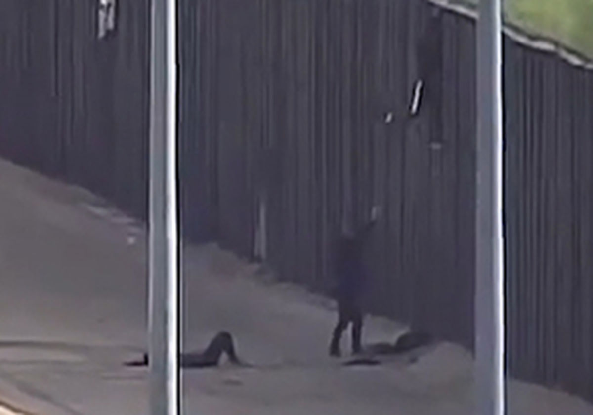 مجروحیت دو دختر نوجوان هنگام پریدن از دیوار مرزی برای مهاجرت +فیلم