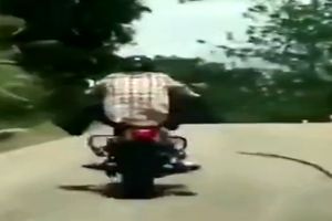 حمله مار به موتورسوار وسط جاده!+فیلم