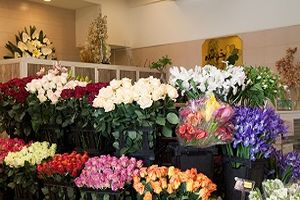 قیمت انواع گل در آستانه شب یلدا/ گلایه تولید کنندگان گل ادامه دارد