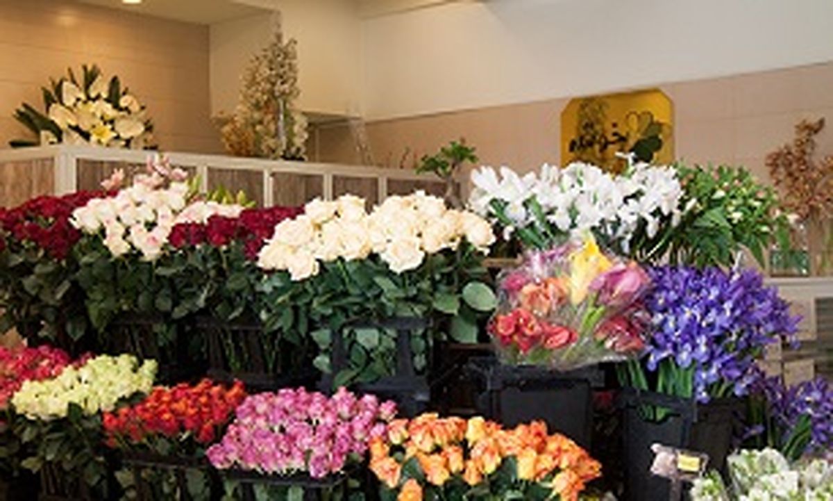 قیمت انواع گل در آستانه شب یلدا/ گلایه تولید کنندگان گل ادامه دارد