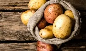 جلوگیری از جوانه زدن سیب زمینی با یک روش ساده!