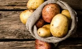 جلوگیری از جوانه زدن سیب زمینی با یک روش ساده!