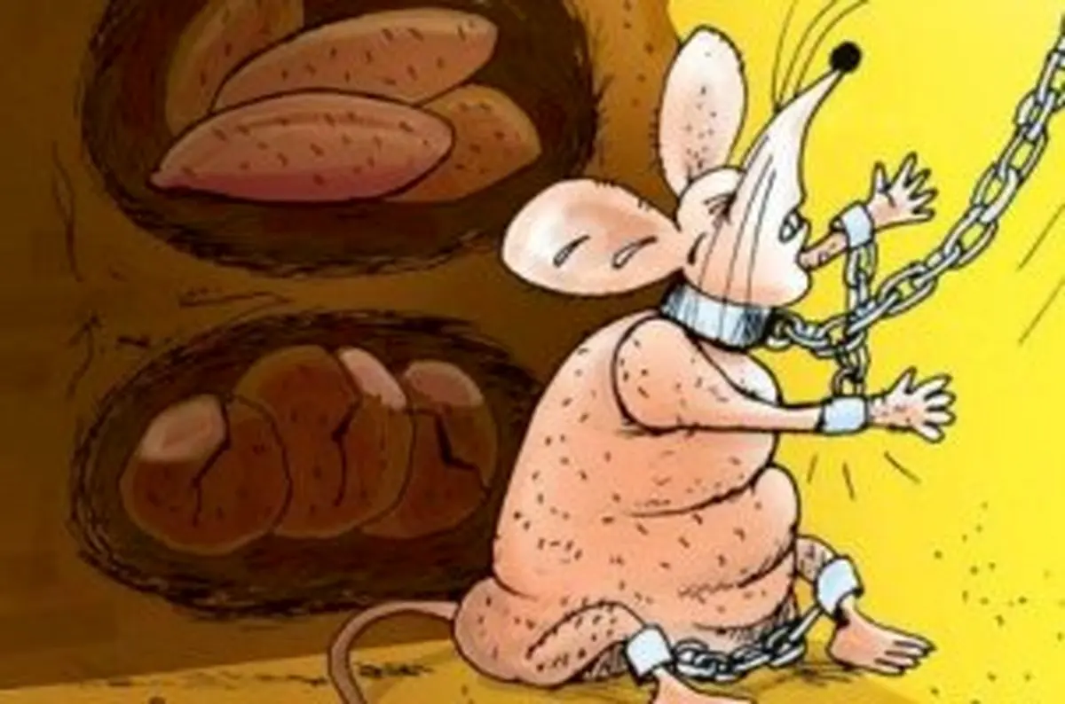 کاریکاتور روز ، دستگیری گران فروشان آجیل شب یلدا