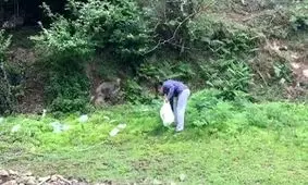 اقدام جالب و آموزنده یک شهروند طبیعت دوست + فیلم