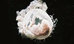 آنتی بیوتیک هایی که خطر سقط جنین را افزایش می دهند