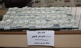 کشف ۵۲۰ هزار دلار ارز قاچاق در مرز مریوان