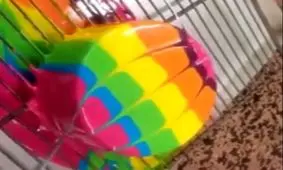 آموزش دیزاین و تزیین کیک در 1 دقیقه