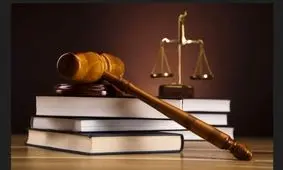 اخلالگر اقتصادی، دستگیر و به کشور بازگردانده شد