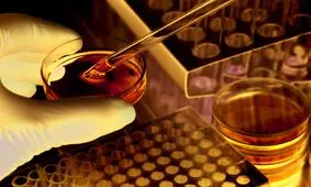 تولید بیش از 400 محصول دانش‌بنیان در حوزه سلول‌های بنیادی و پزشکی بازساختی