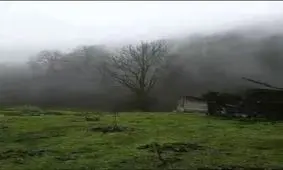 منظره زیبا جنگل منطقه چلاو