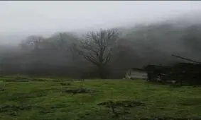 منظره زیبا جنگل منطقه چلاو