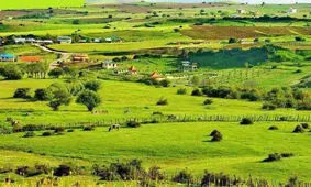 هنرگردی در ۱۰۰ روستا/جای شبکه تلویزیونی گردشگری خالی است
