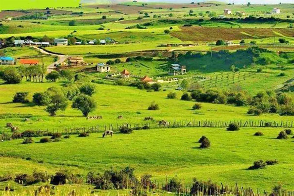 هنرگردی در ۱۰۰ روستا/جای شبکه تلویزیونی گردشگری خالی است