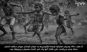 دانستنی‌های جالب؛ شکنجه دردناک قرون وسطی!