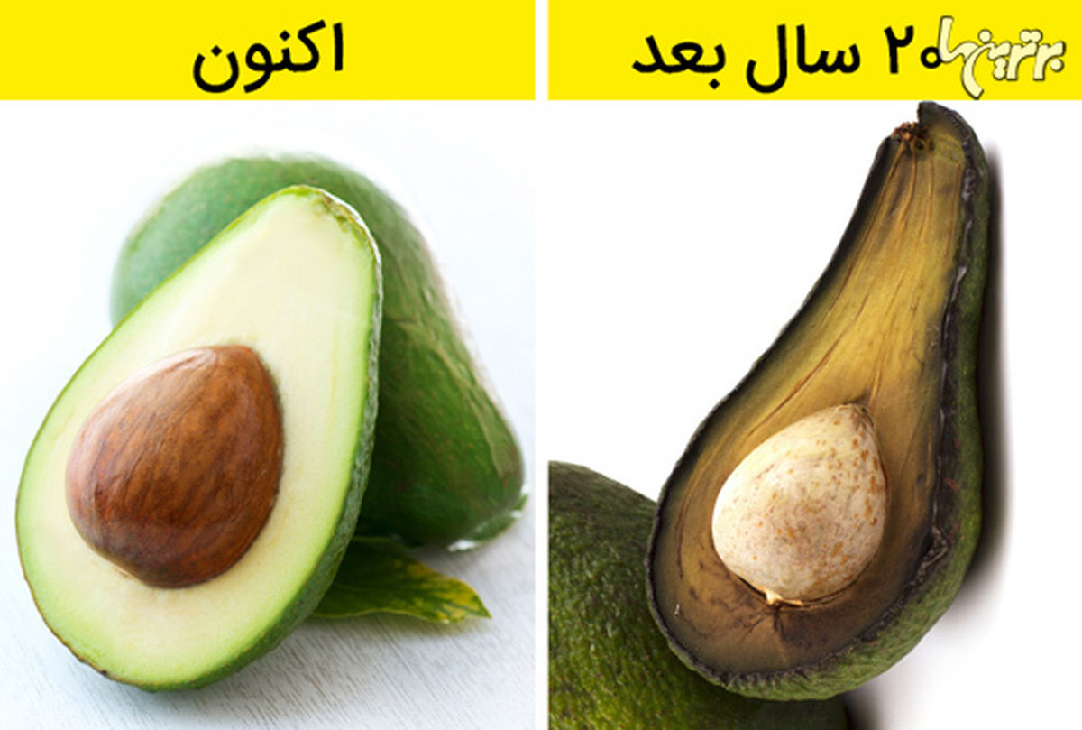 فجایعی که گرمایش جهانی به بار میآورد!