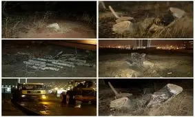 قطع شبانه درختان در تبریز/عکس