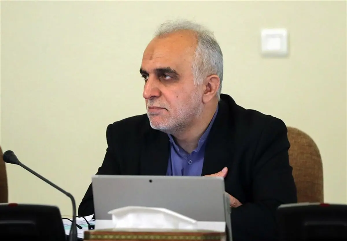 وزیر اقتصاد: در ماجرای نماینده سراوان عذرخواهی نکردم