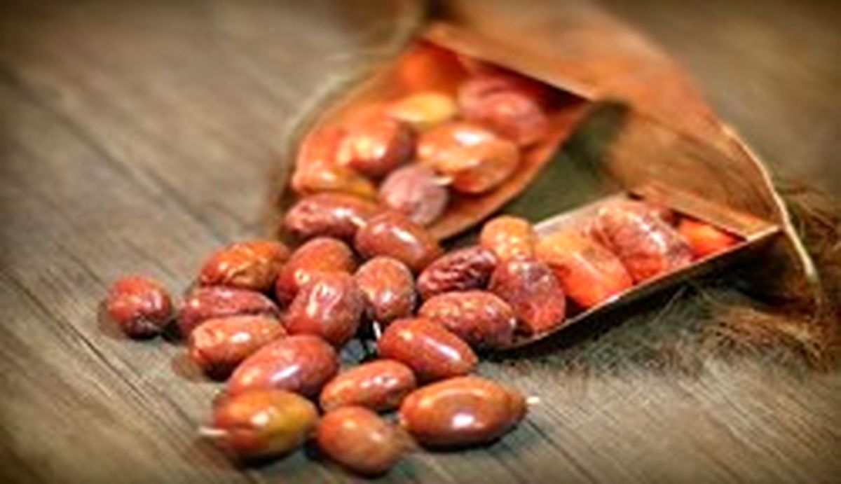 خواص معجزهآسای پودر سنجد
