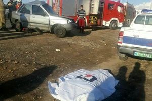 دوربرگردان و راننده بی‌توجه قربانی گرفتند