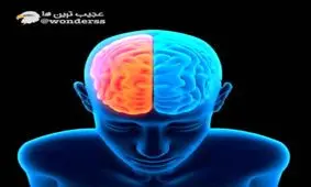 عملکرد جالب مغز کسانی که به دو زبان تسلط دارند !