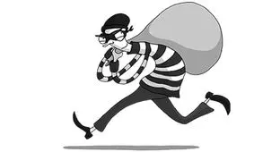 طنز/ شما بگید: آیا همه دزدن؟