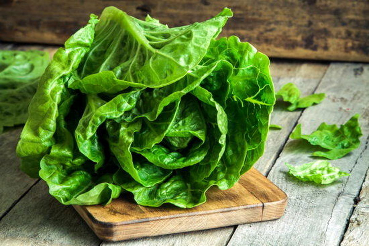 کالری صفر چگونه باعث لاغری میشود؟