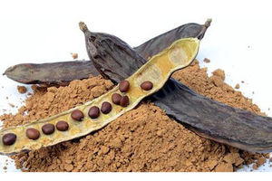 معرفی خواص فلوس
