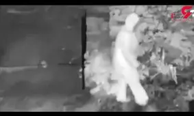 اقدام عجیب یک پیرزن با درخت کریسمس+ تصویر