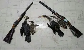 دستگیری شکارچیان غیرمجاز پرندگان مهاجر در سواحل دریای خزر