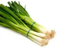 فواید شگفت انگیز پیازچه برای سلامتی+ اینفوگرافی