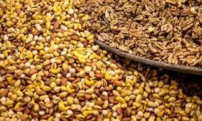 جو روانی و دلالان عامل گرانی آجیل