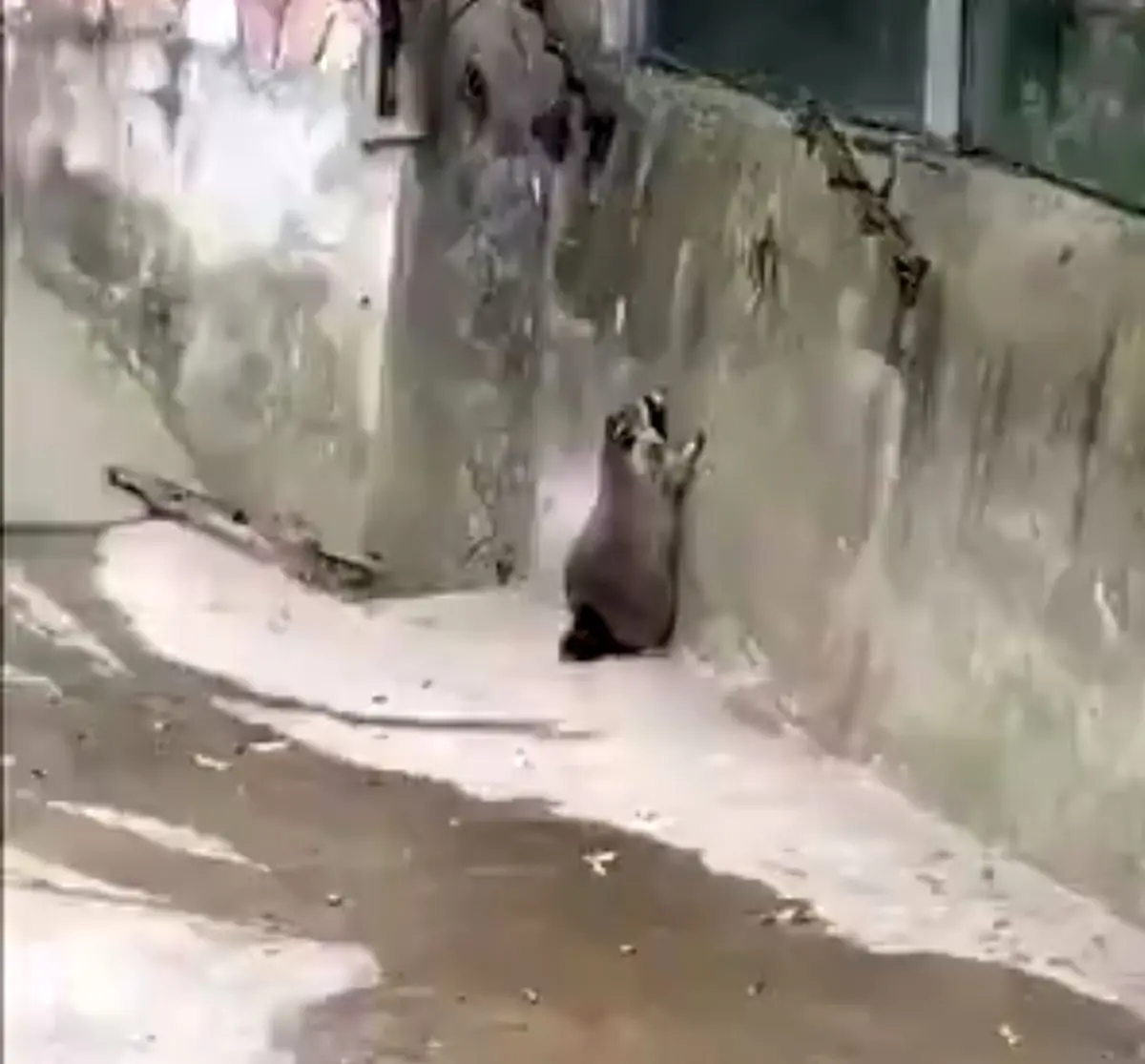 وقتی تو ایران تلاش می‌کنید از سد مشکلات عبور کنید.