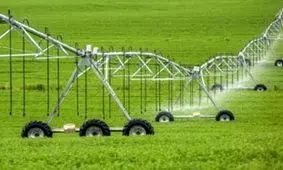 واگذاری کشت و صنعت مغان به دومین شرکت کننده مزاید