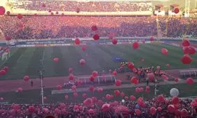 سلیمی: پرشورها فوق‌العاده‌اند