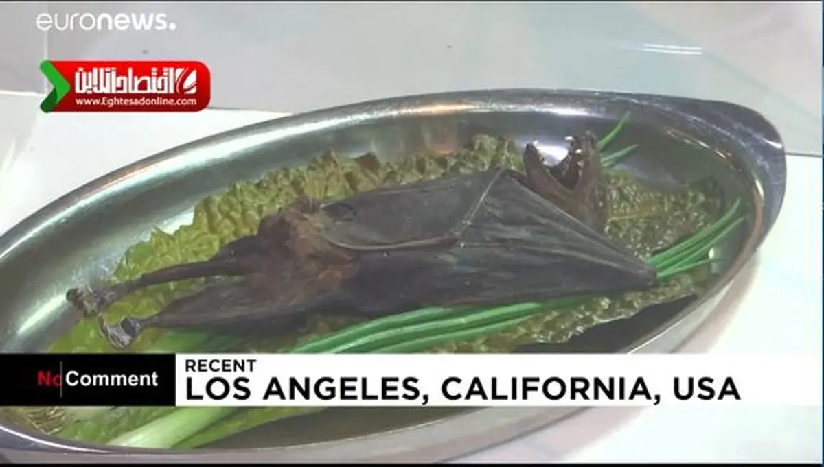 موزه غذاهای چندش‌آور +فیلم