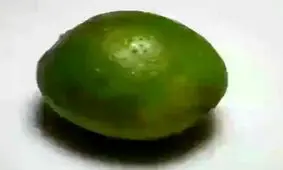 چراپزشکان توصیه میکنند لیموترش را با پوست مصرف کنیم ؟