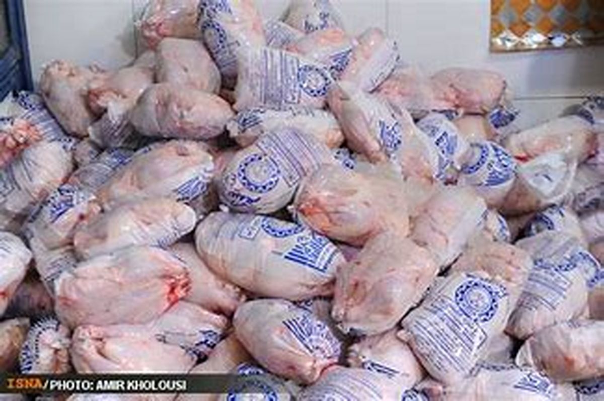 توزیع روزانه ۱۰۰ تن مرغ منجمد در تهران به قیمت ۸۹۰۰ تومان/فیلم