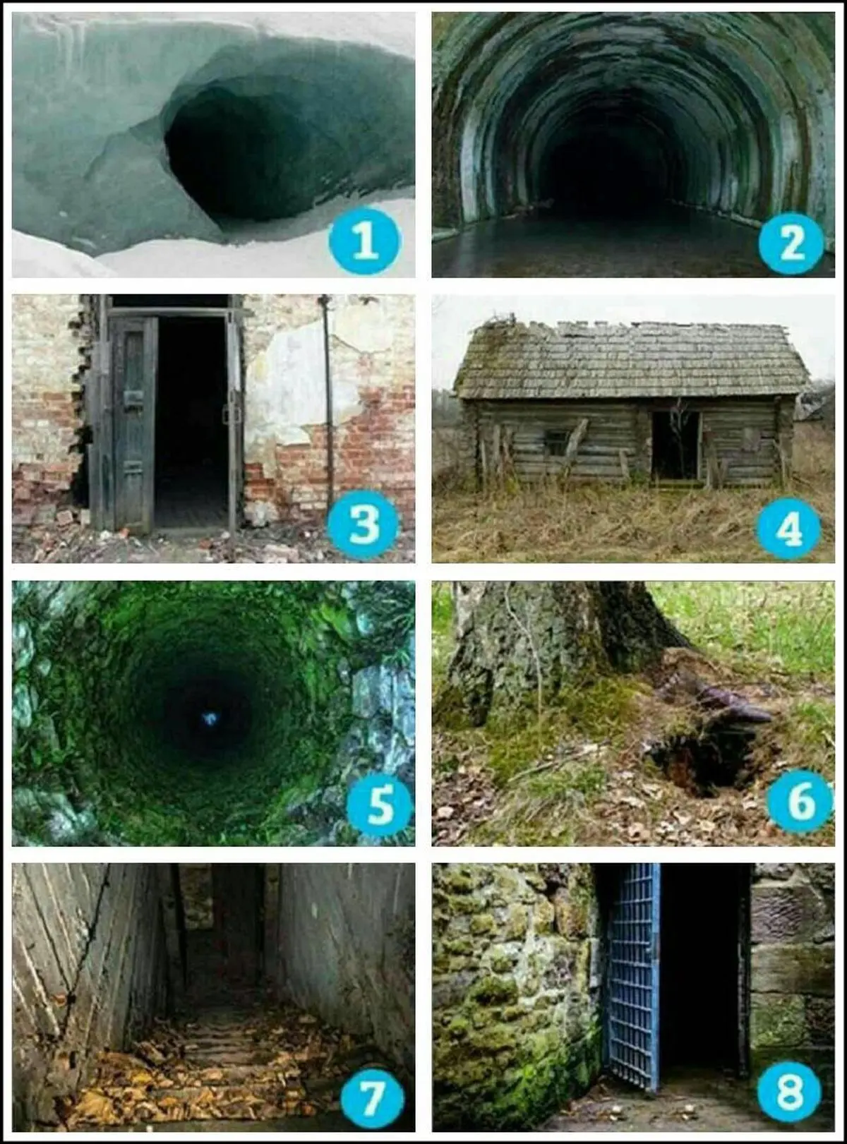 آیا ترسو هستید؟+ تست روانشناسی