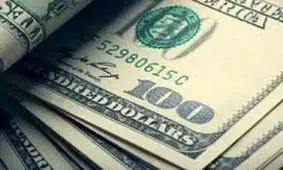 متلاشی شدن باند فروش دلار‌های سبز و سیاه