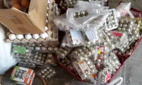 چهار تن تخم مرغ غیر بهداشتی در یزد کشف شد