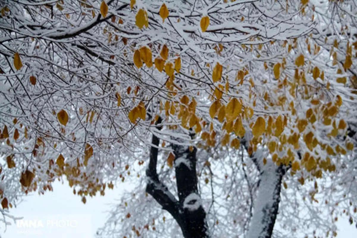 هوای اصفهان ۵ درجه سردتر می‌شود/ ادامه بارش‌ها در غرب