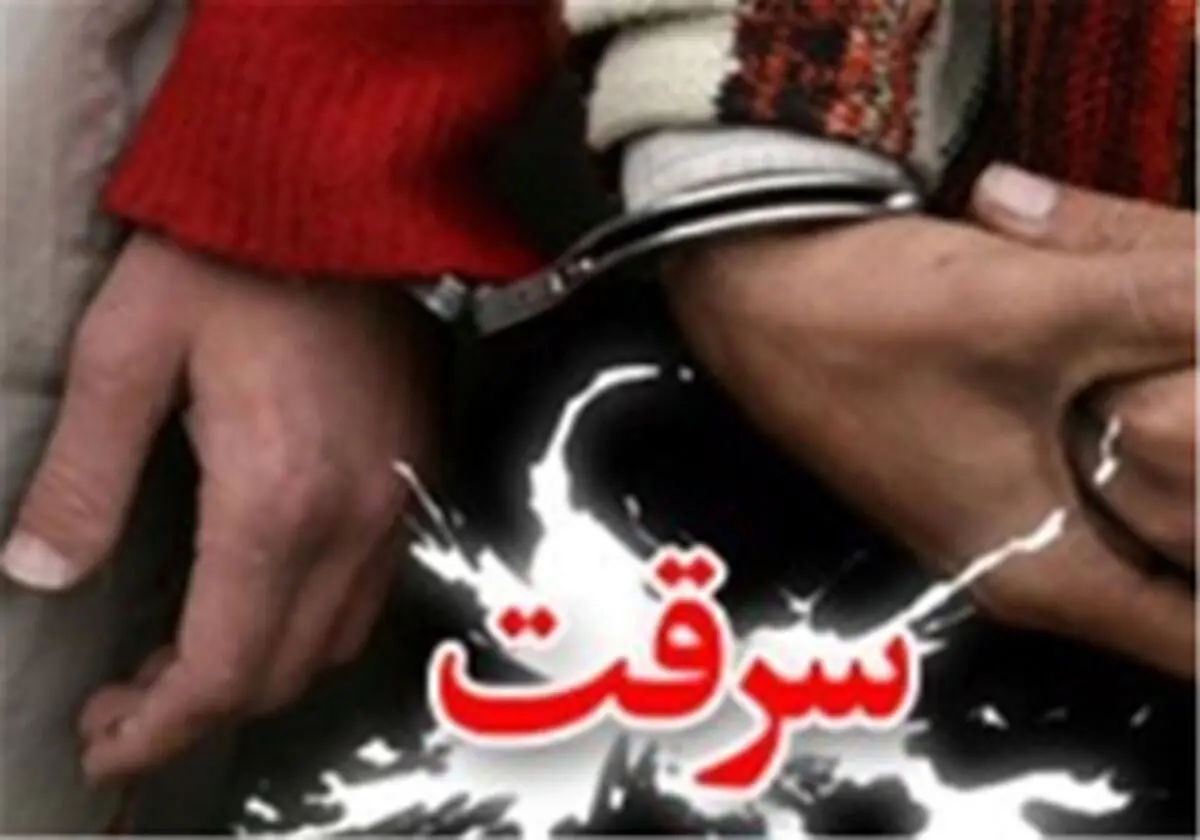 انهدام ۳ باند سارقان منزل در شیراز