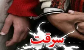 انهدام ۳ باند سارقان منزل در شیراز