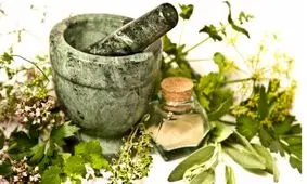 گیاه تشنه داری برای التیام زخم